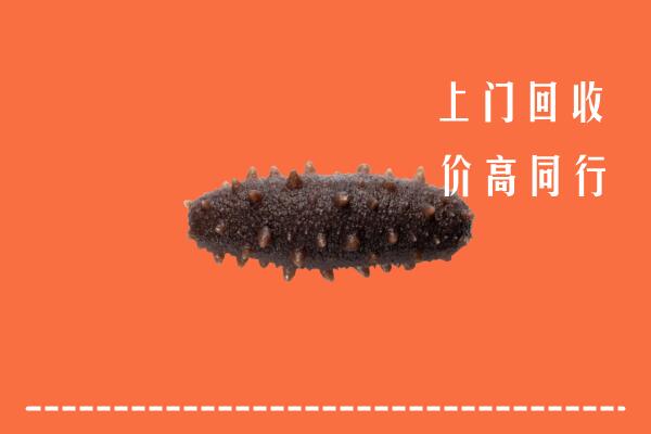 高价求购：城关区回收海参