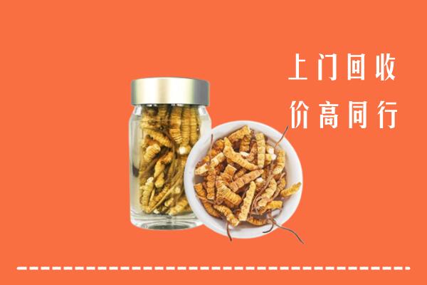 城关区回收冬虫夏草
