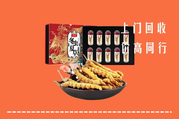 城关区回收虫草